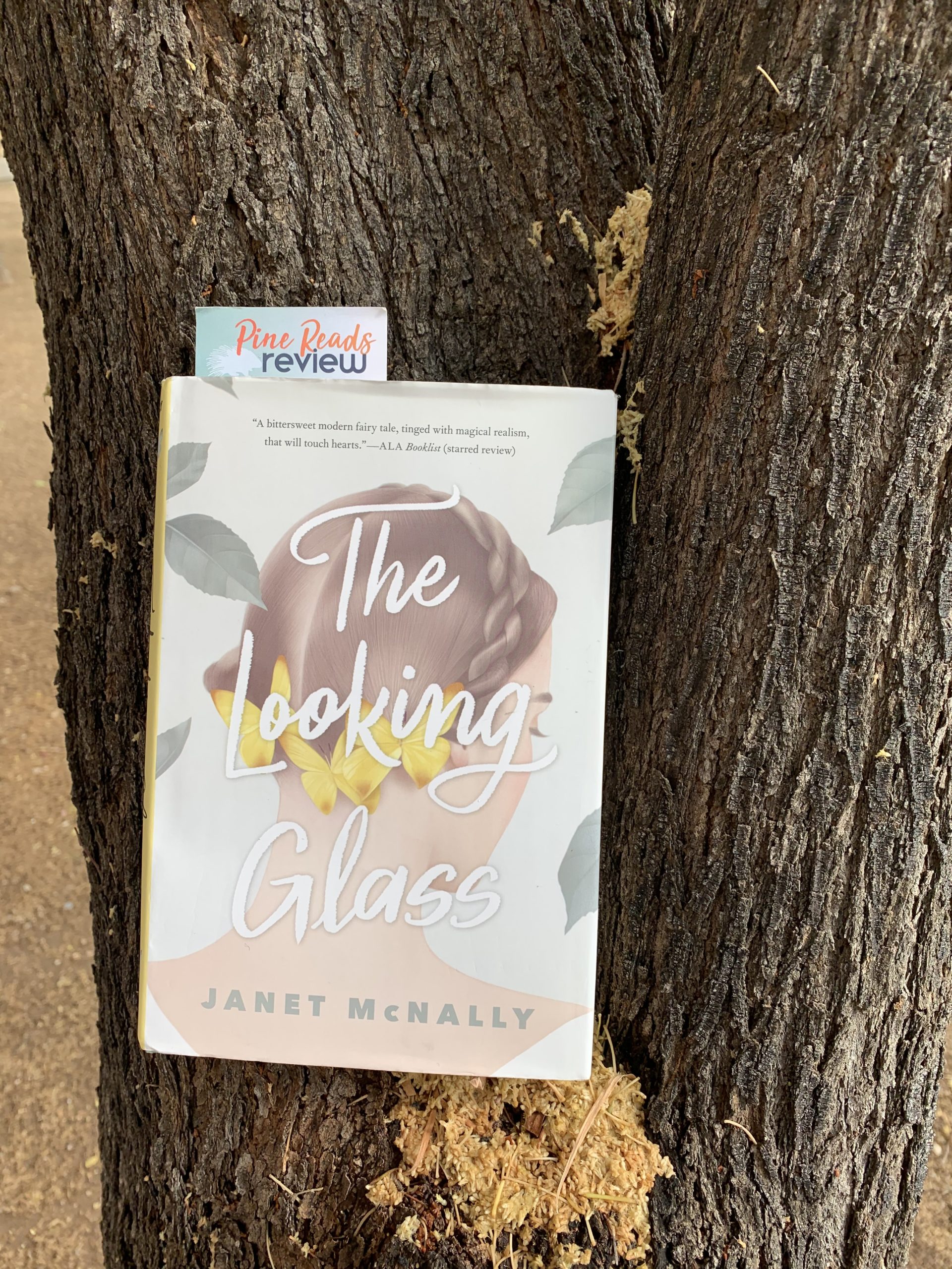 The Looking Glass by Janet McNally