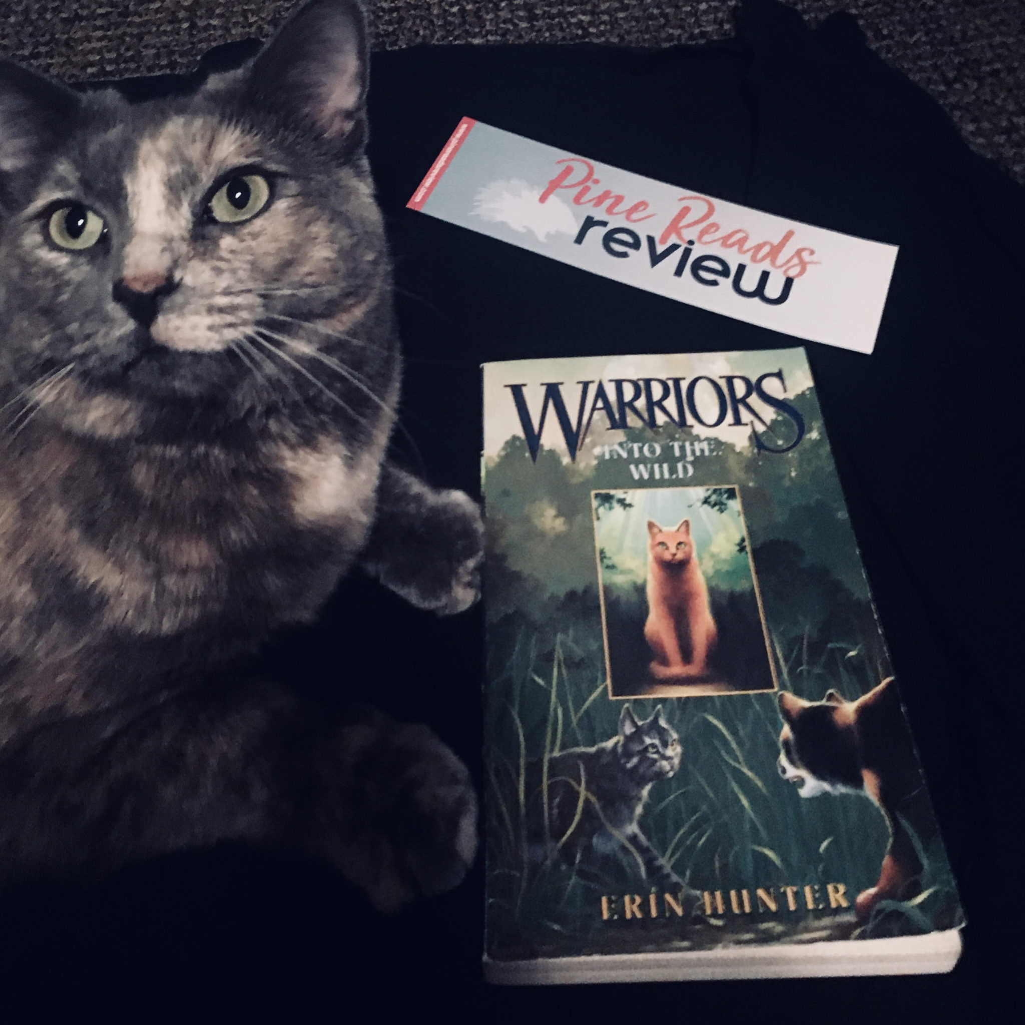 warriors into the wild erin hunter warriors into the wild erin hunter